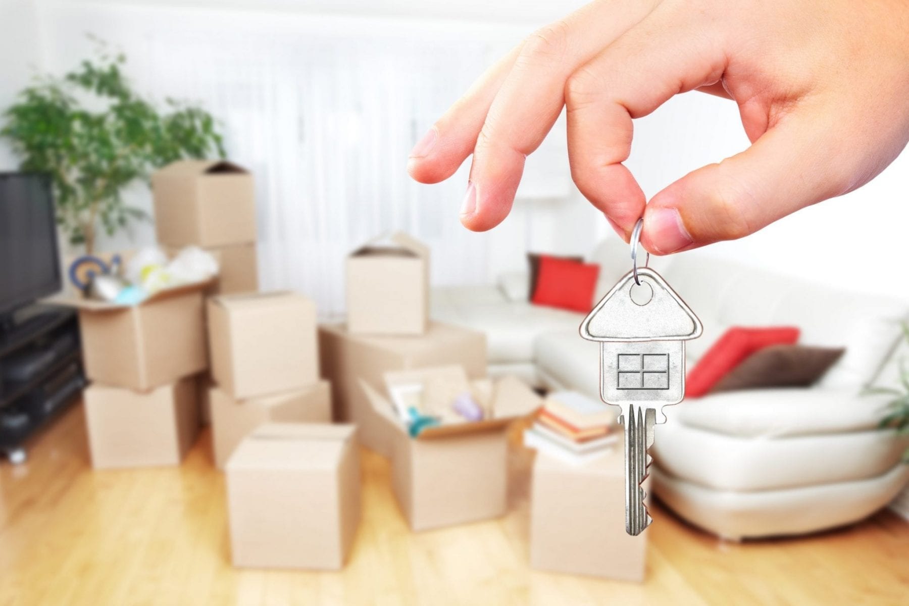 Home removalists Newcastle and Maitland
